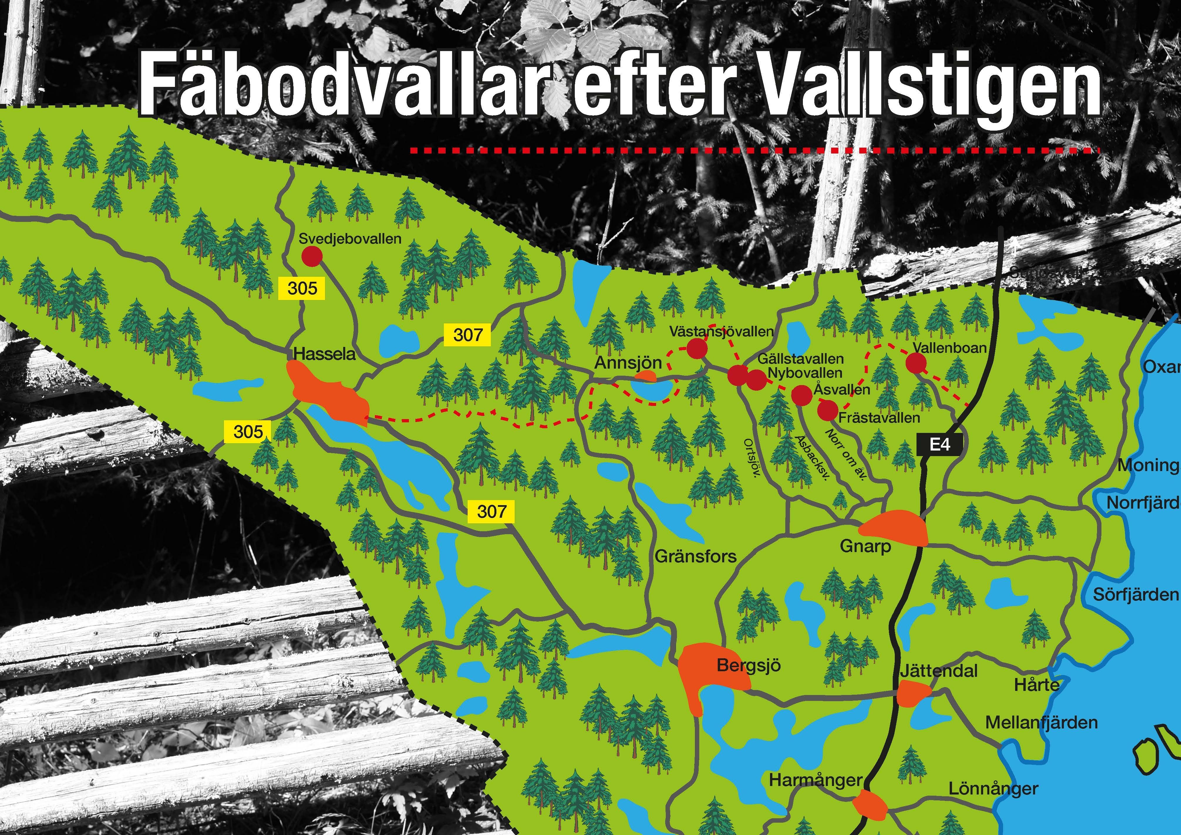 Fäbodveckan i Nordanstig - 28/6-11/7