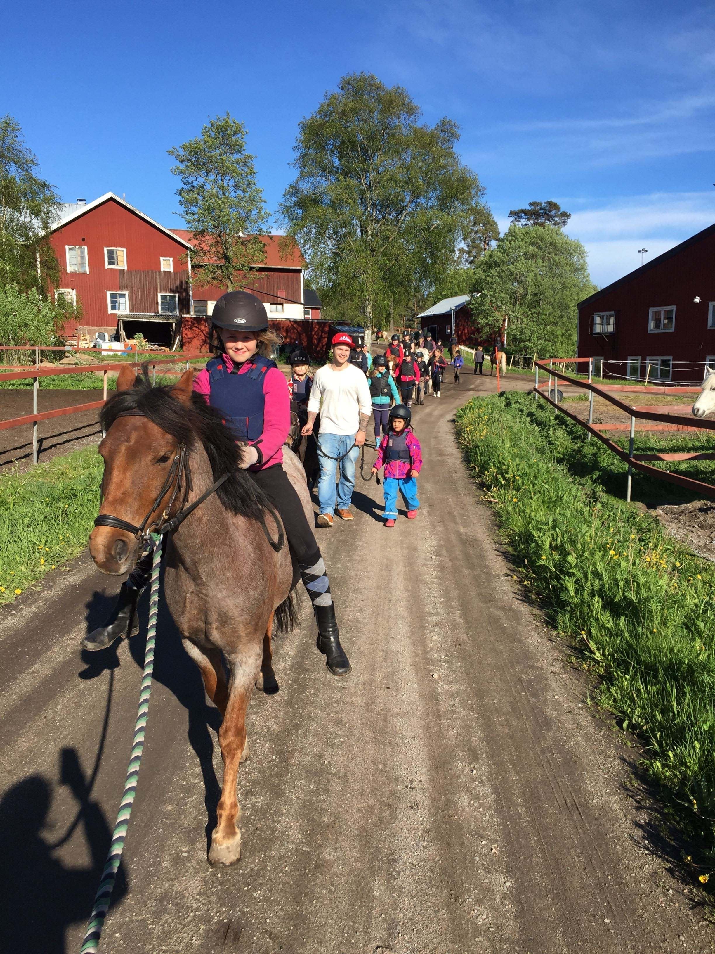 Gratis sommarlovs ridning