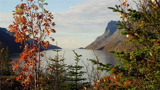 Utsikt over en fjord med fjell på begge sider