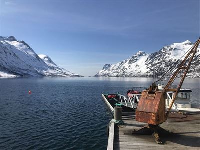 Utsikt over en fjord og de omkringliggende fjellene om vinteren