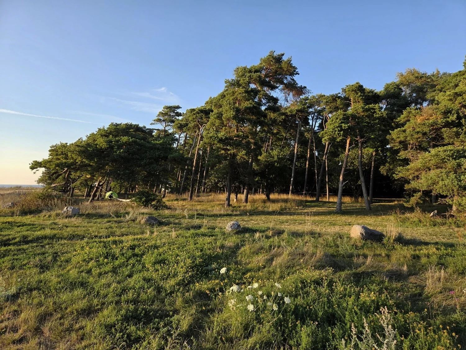 Sandviks Camping
