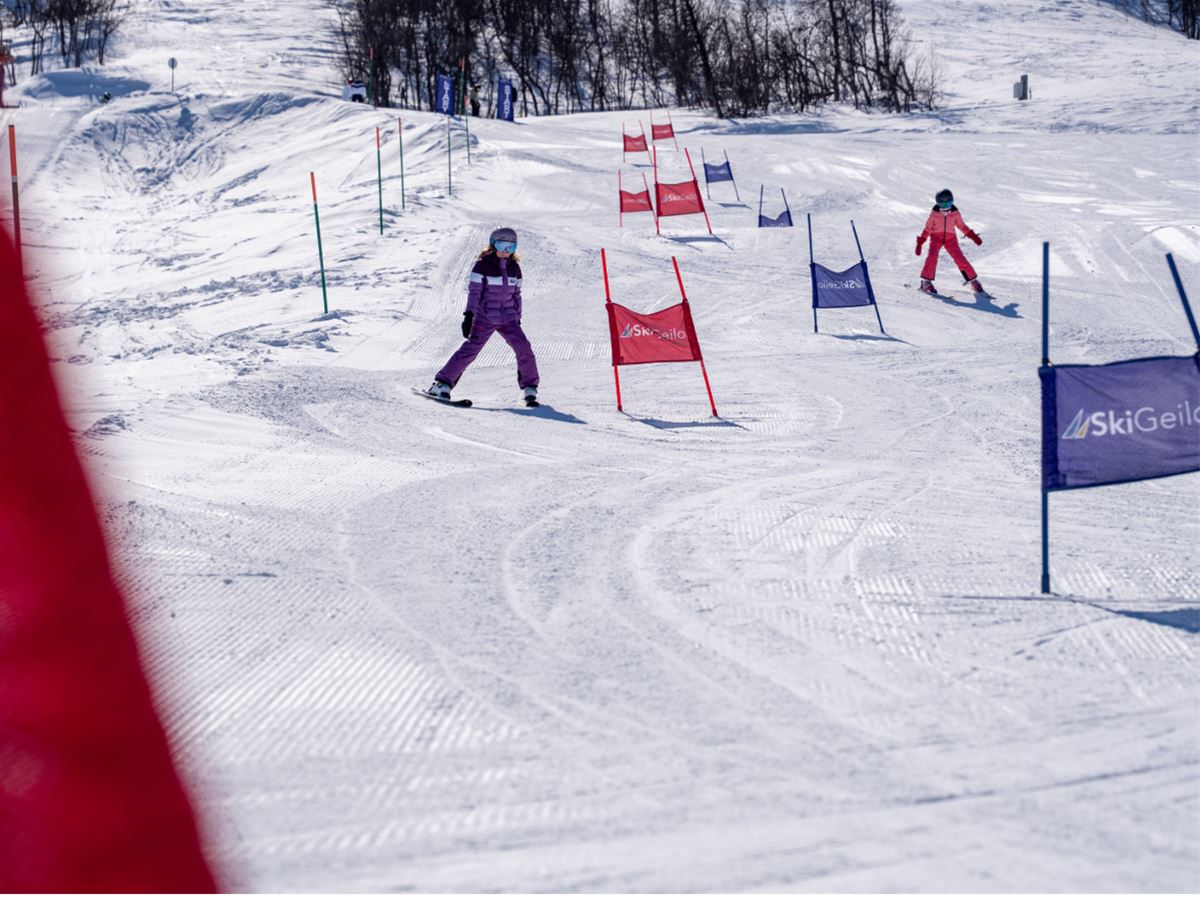 Junior porttrening: En morsom introduksjon til alpinracing image 1