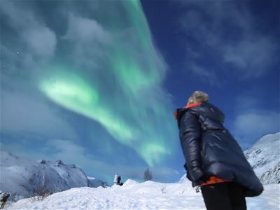 Guest under the northern lights