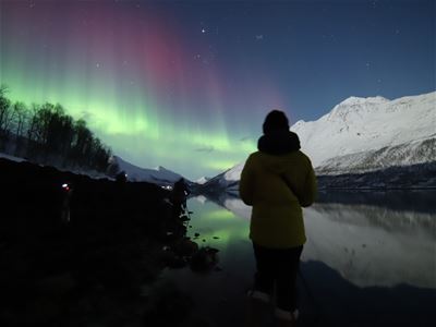 Guest looking at a fjord view with northern lights in the sky