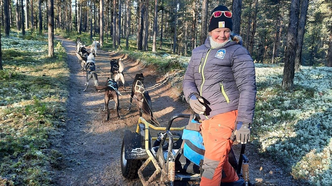 Hundespann med vogn på skogssti.