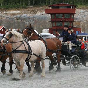 Tingsryd Häst & Sportanläggning