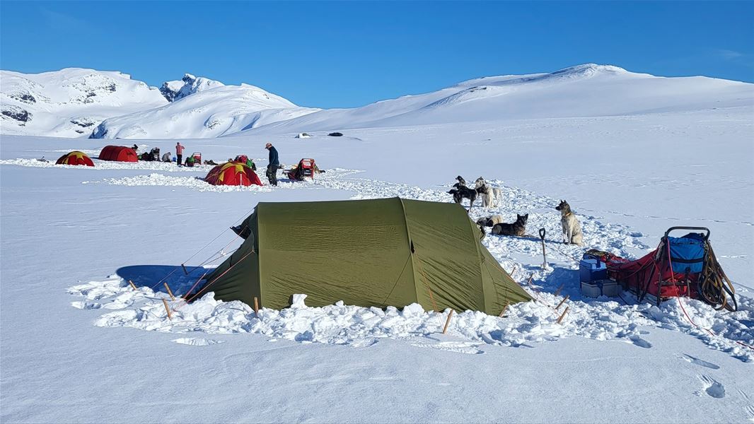 Teltleir i snødekt fjellandskap under klar blå himmel.