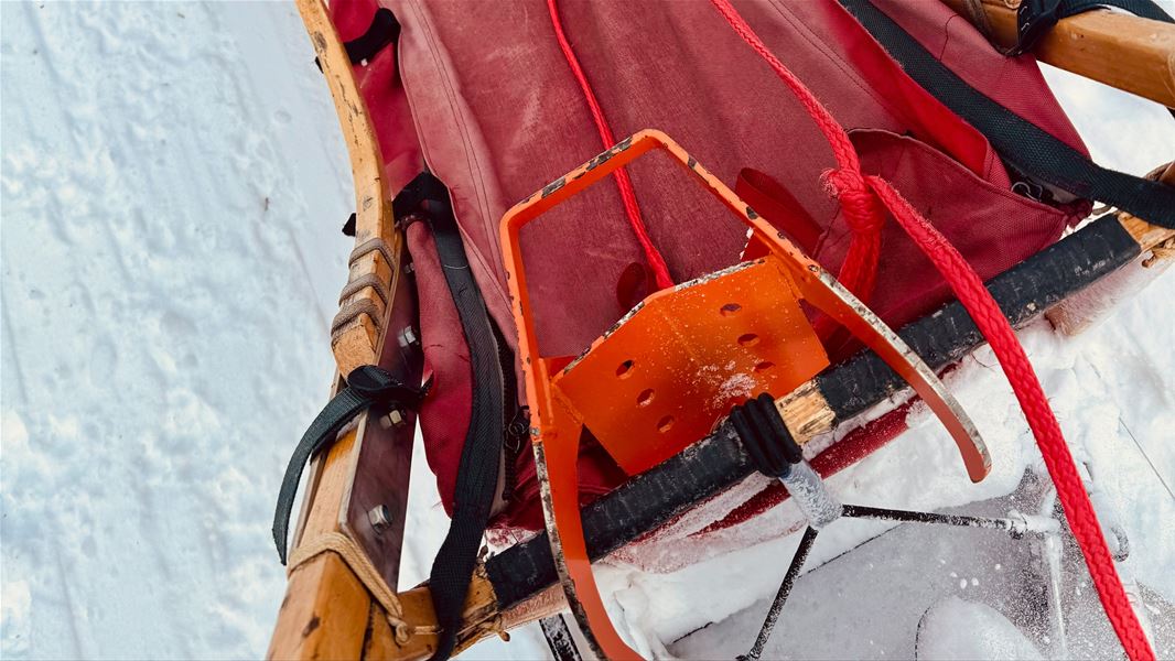 Nærbilde av hundeslede med utstyr på snøen.