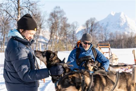 Gjester koser med hundene