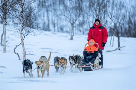 Guests try the dog sled
