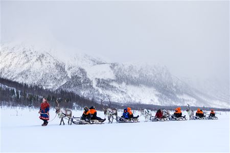 Guests are pulled by multiple reindeer sleds