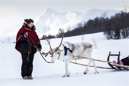 Reindeer handler poses beside her reindeer