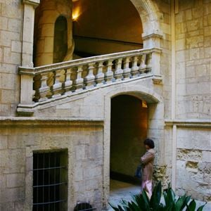 French guided tour - Private mansions