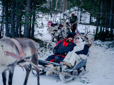Gjester på sledetur gjennom det arktiske landskapet
