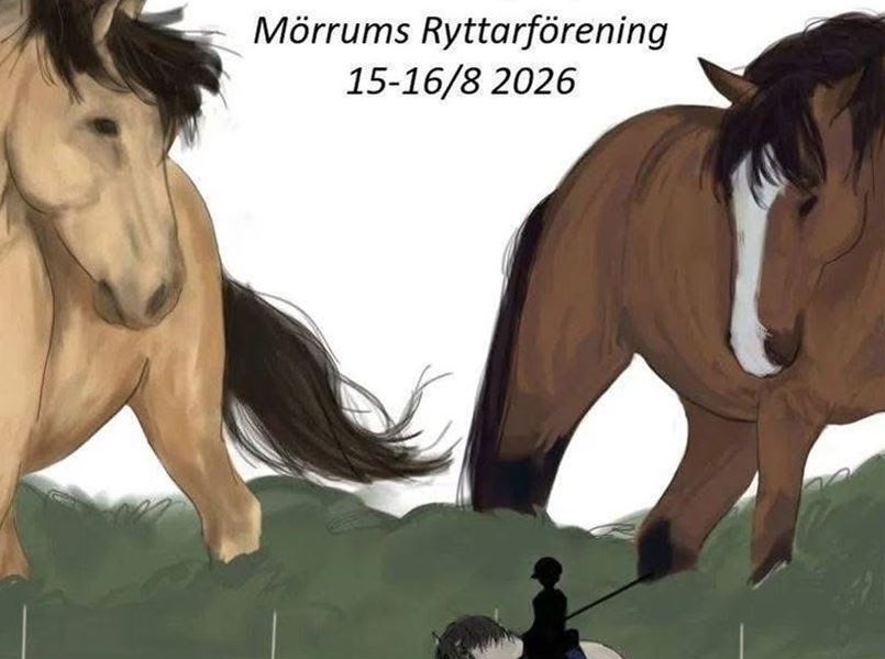 Lag-SM Working Equitation