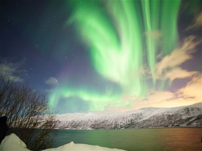 The northern lights