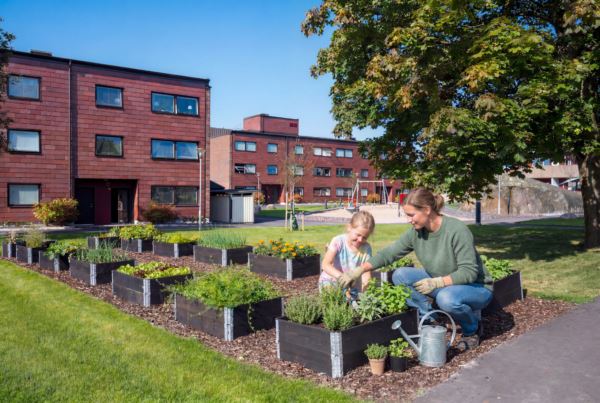 Visning av stadsodlingar i Möllebacken