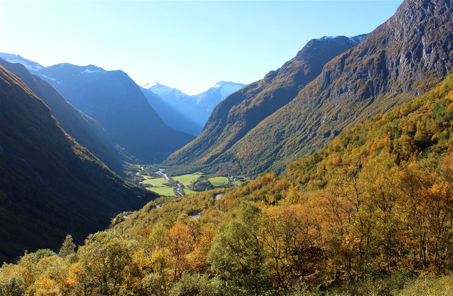 Wide view of a mountain valley with autumn forests, distant snowcapped peaks, and a river winding through fields..