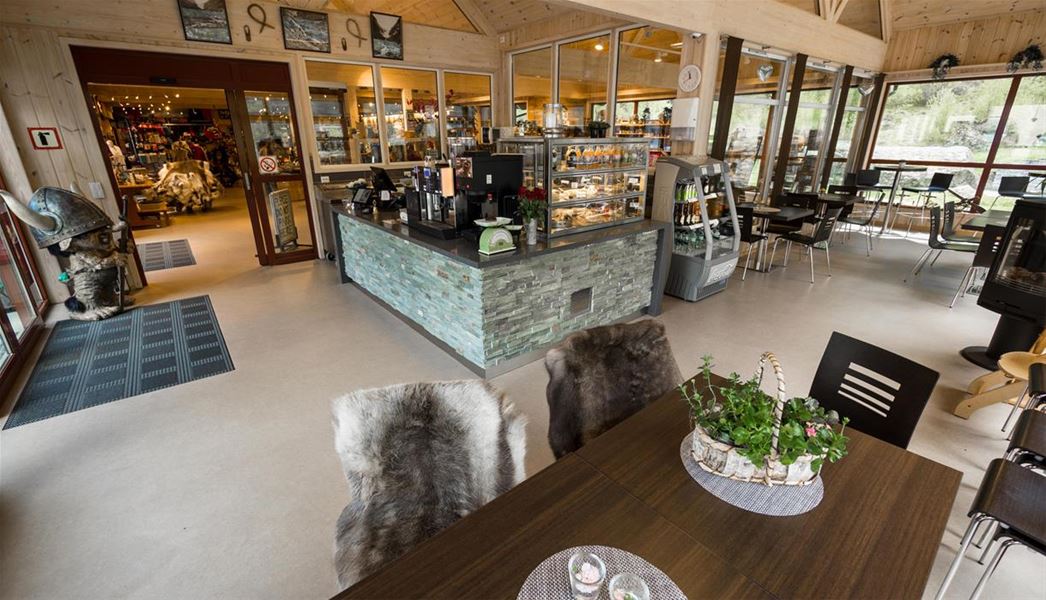 Rustic cafe with a central counter, pastry display, tables and chairs, and large windows looking outside..