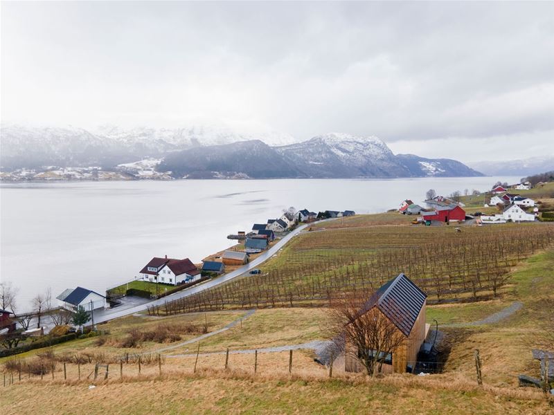Utsyn over fjord, gardar og åkrar med vinranker, ei vegline og snødekte fjell under overskya himmel..