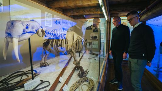 Besøkende utforsker utstillinger om polarhistorie og livet i Arktis på Polarmuseet i Tromsø.