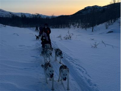 Hundespann på ettermiddagstur gjennom en snødekt løype