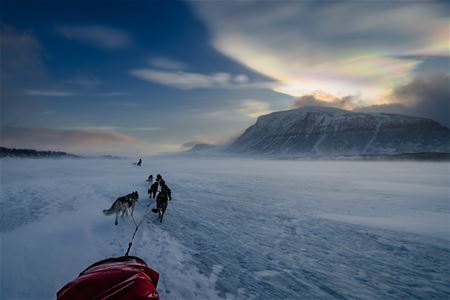 View from a dog sled as the husky team travels across a vast snowy landscape with mountains in the background.