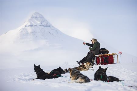 The husky team resting in the snow while a participant sits on the sled in front of a snow-covered mountain landscape.