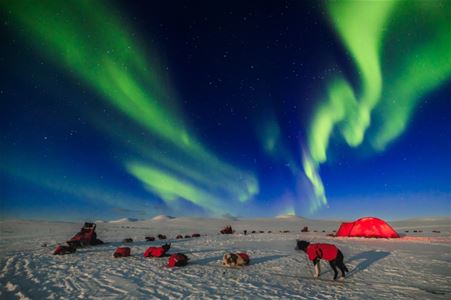 Grønt nordlys over en vintercamp med hundespann og et rødt telt i et åpent, snødekt fjellandskap.
