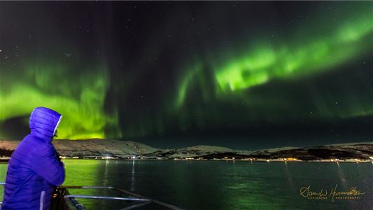En gjest ser nordlyset danse over fjorden under en båttur i Tromsø.