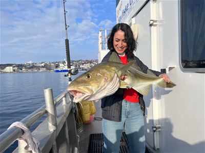 Guest holding a large fish caught during a sea fishing trip with Sørøya Havfiske.