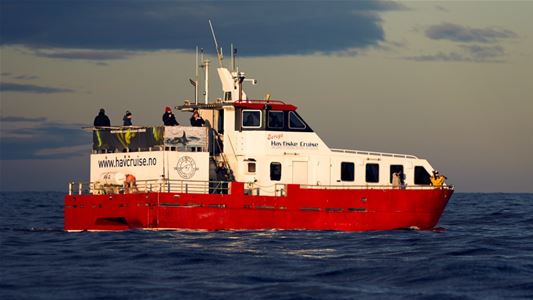 Sørøya Havfiske fishing boat at sea, used for sea fishing trips and fishing experiences.