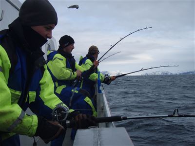 Guests fishing from a boat during a sea fishing trip with Sørøya Havfiske.
