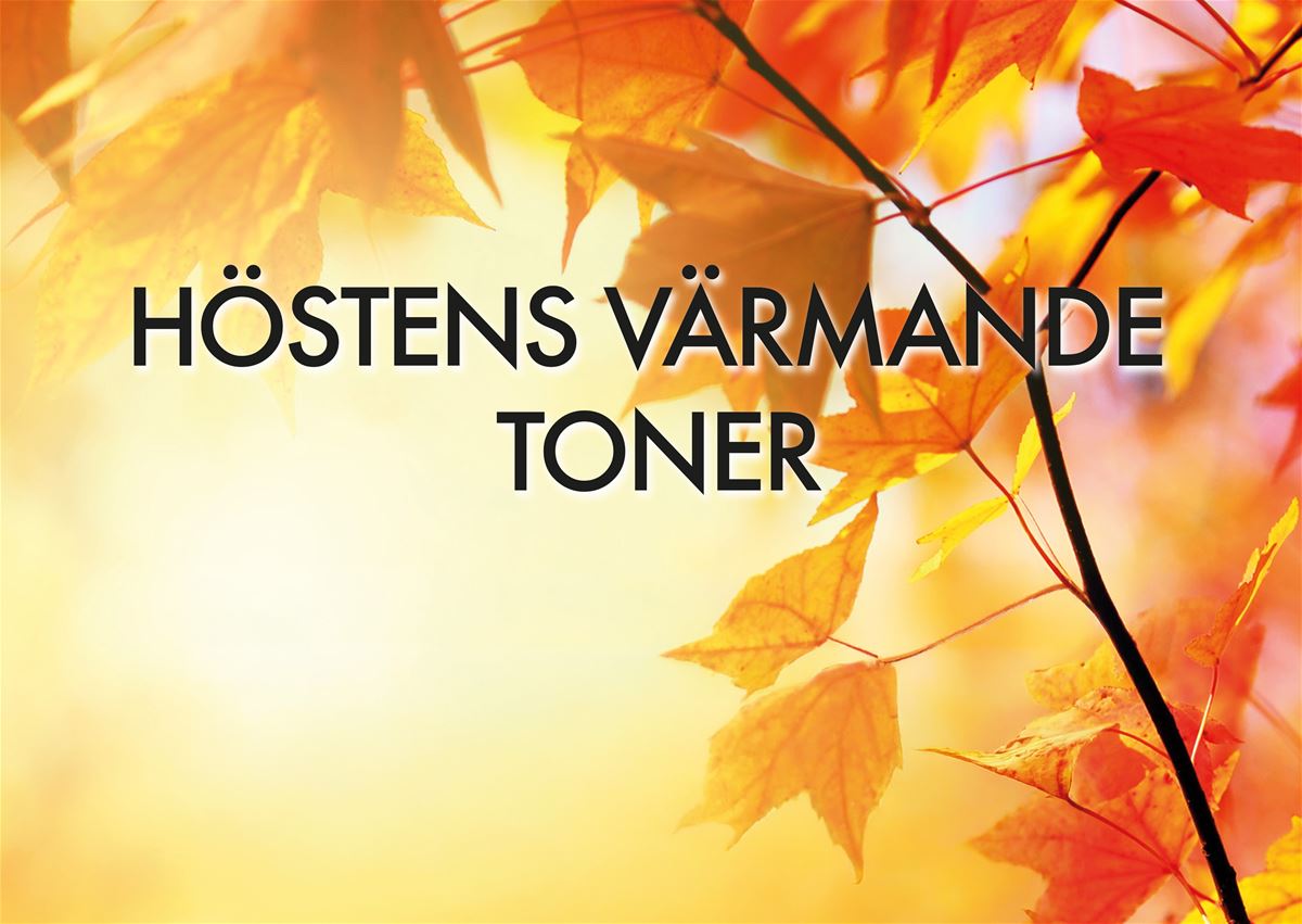 Höstkonsert i Sandarne kyrka image 1
