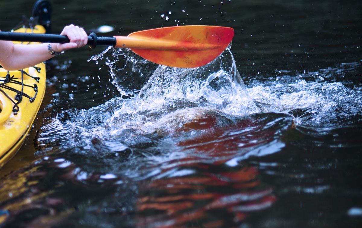 Canoe rental Törnabygd's Camping image 1