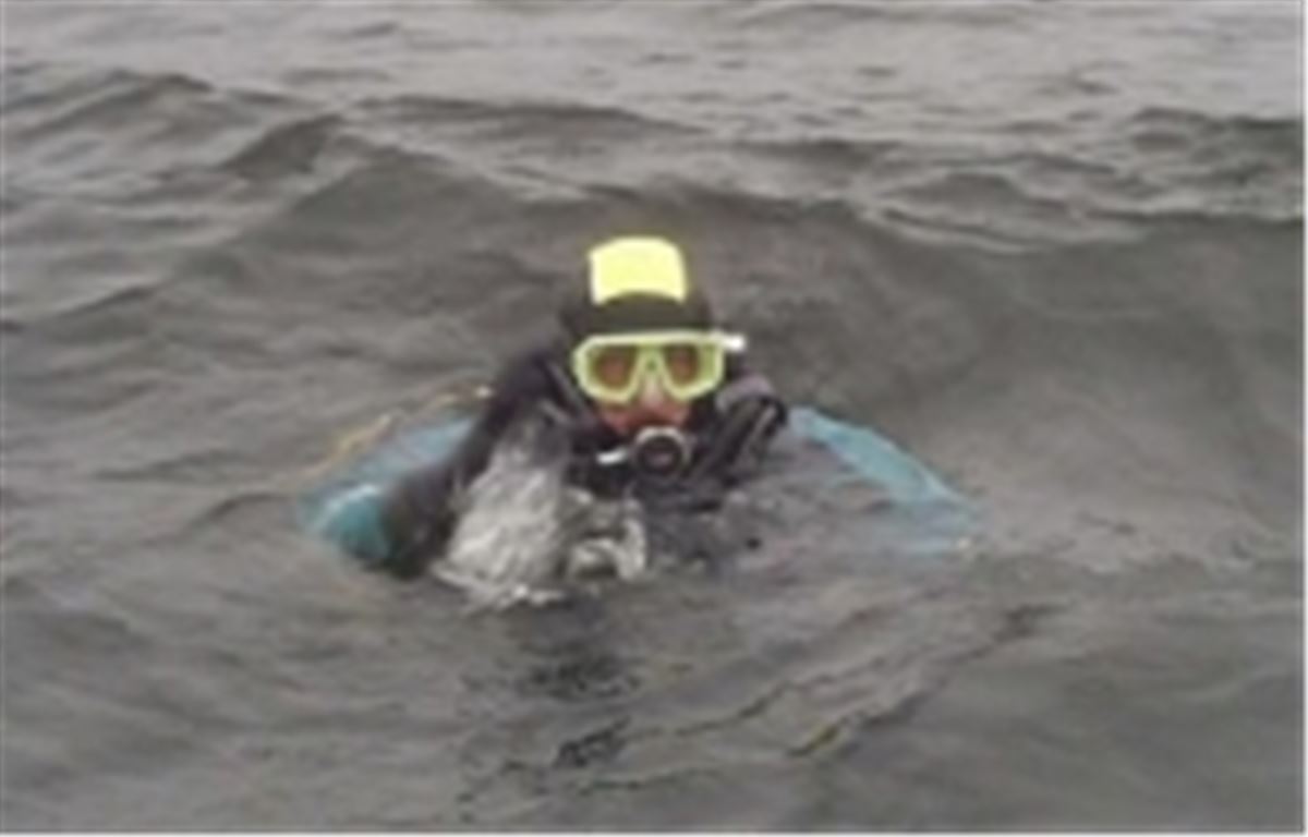 Sportdykning i Söderhamn