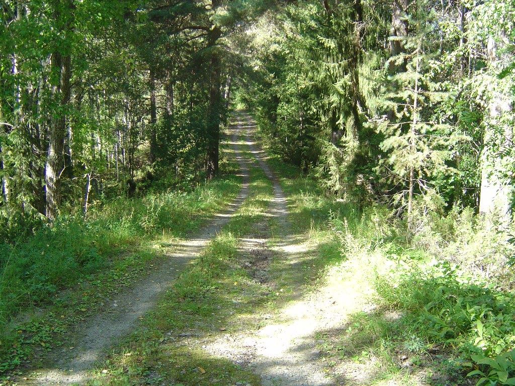 Ånäset - naturreservat