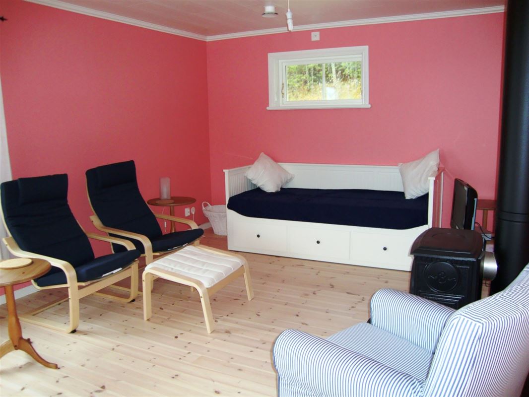 Room with pink walls, a fireplace and some armchairs.