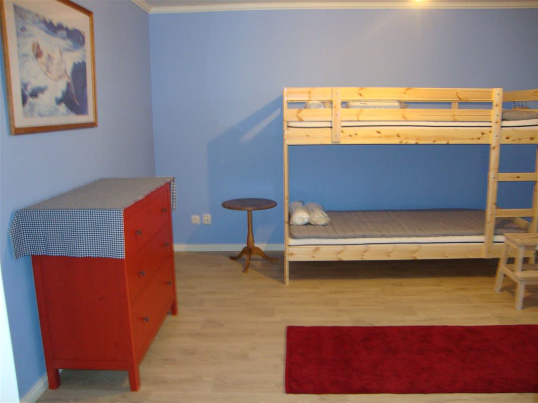 Blue room with a bunkbed and a red carpet and  a red bureau.