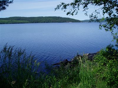 A view of the lake.