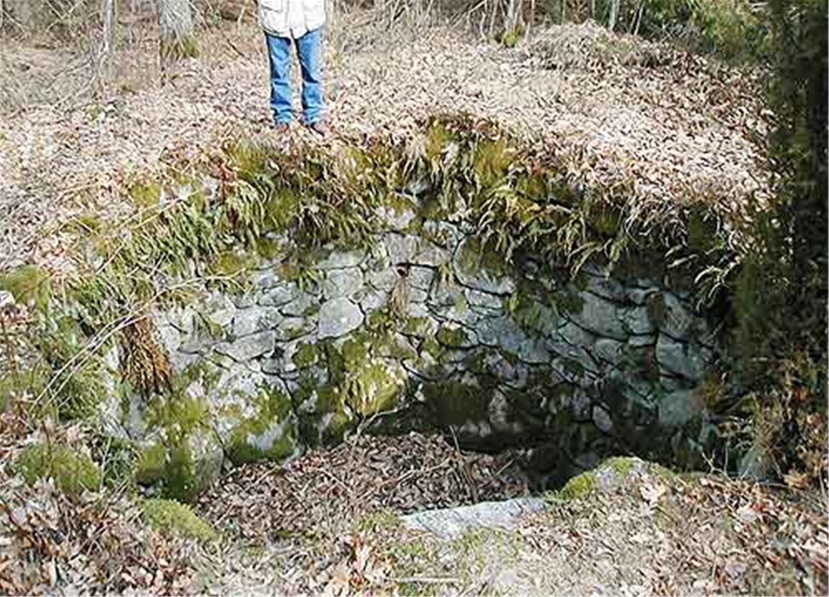 Der Wolfkvelung image 1