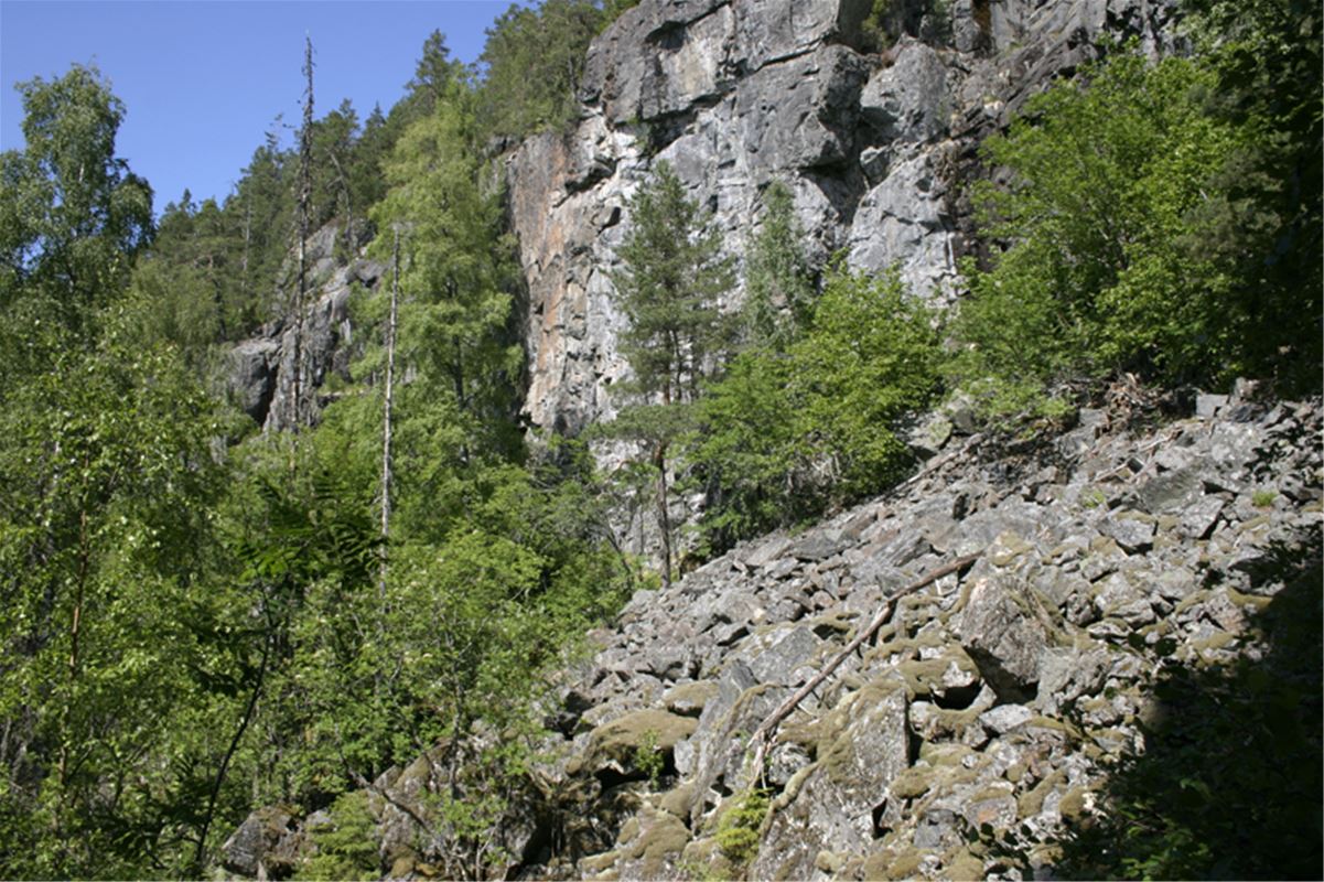 Tvärstupet, Berg och skog.