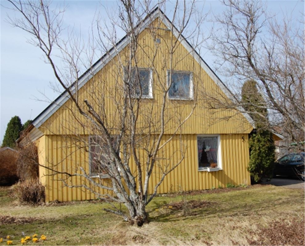 Yellow house.