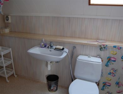 The toilet.