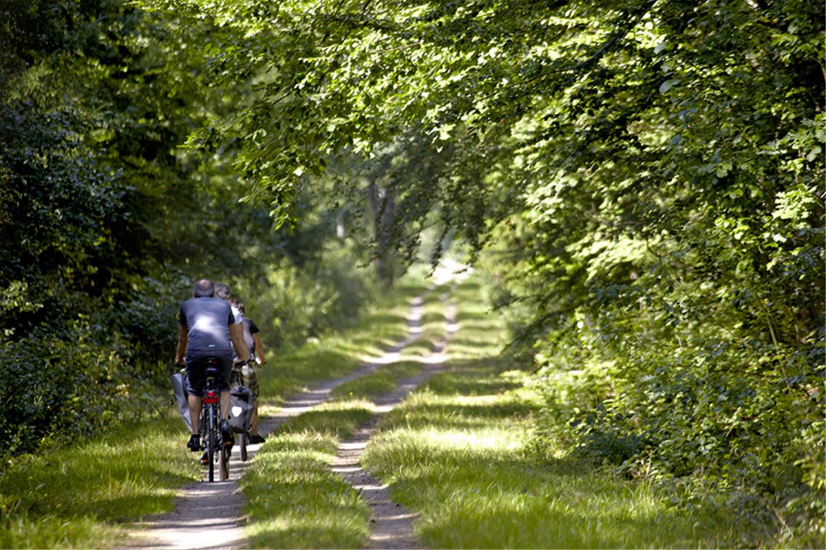 Cycling path Banvallsleden image 1