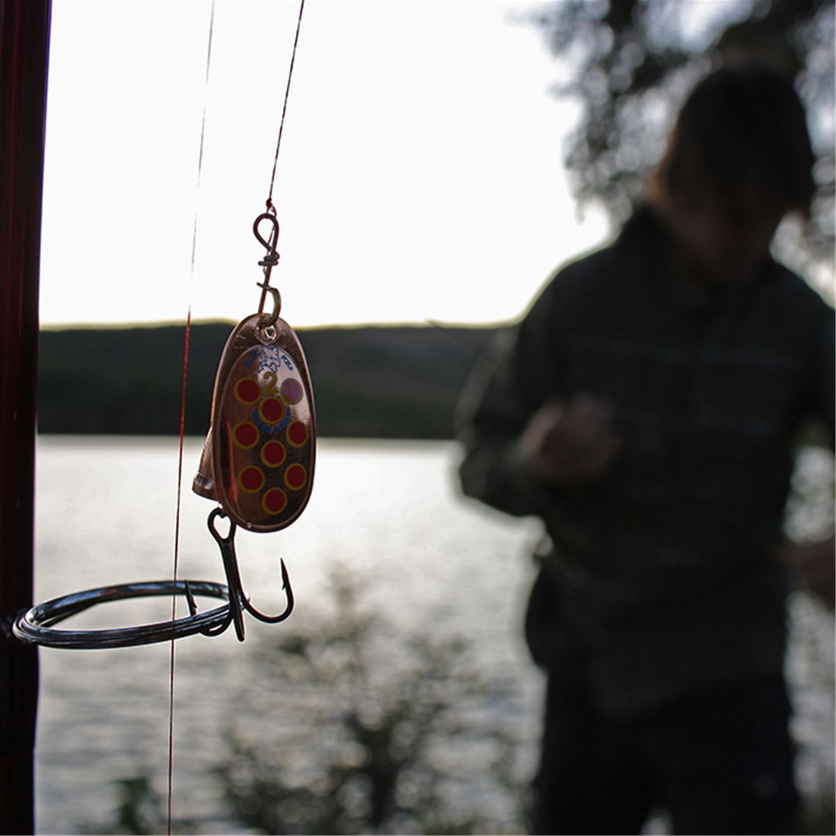 Fiske i Fiolen image 1