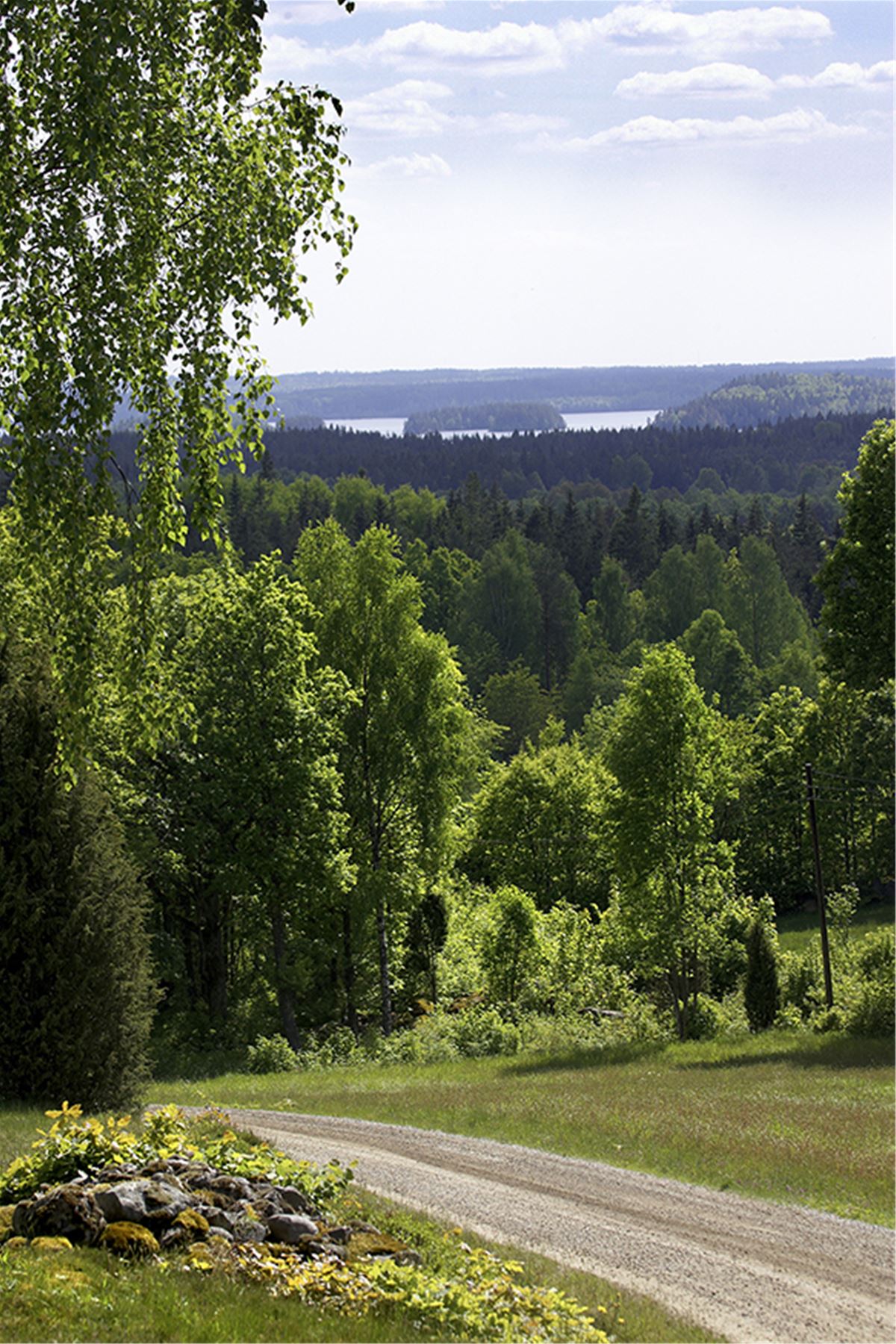 Nature trail Västra Sigfridsleden 170 km image 1