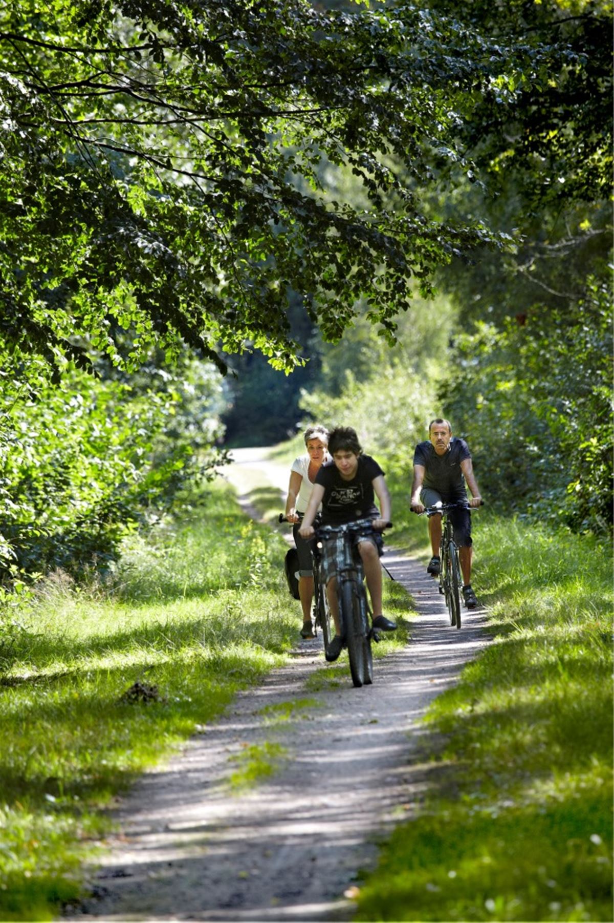 Cykelleden Dansjön runt image 1