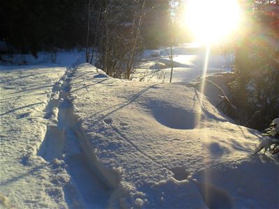 Snöskospår i gnistrande djupsnö i skogen.
