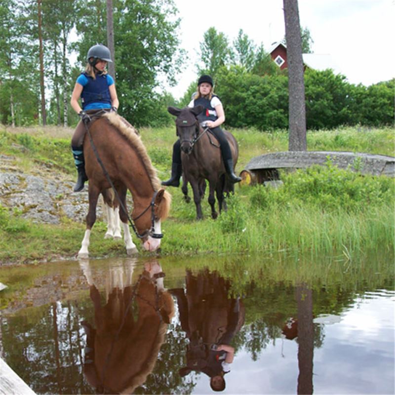 Två flickor på varsin häst, en av hästarna dricker vatten.